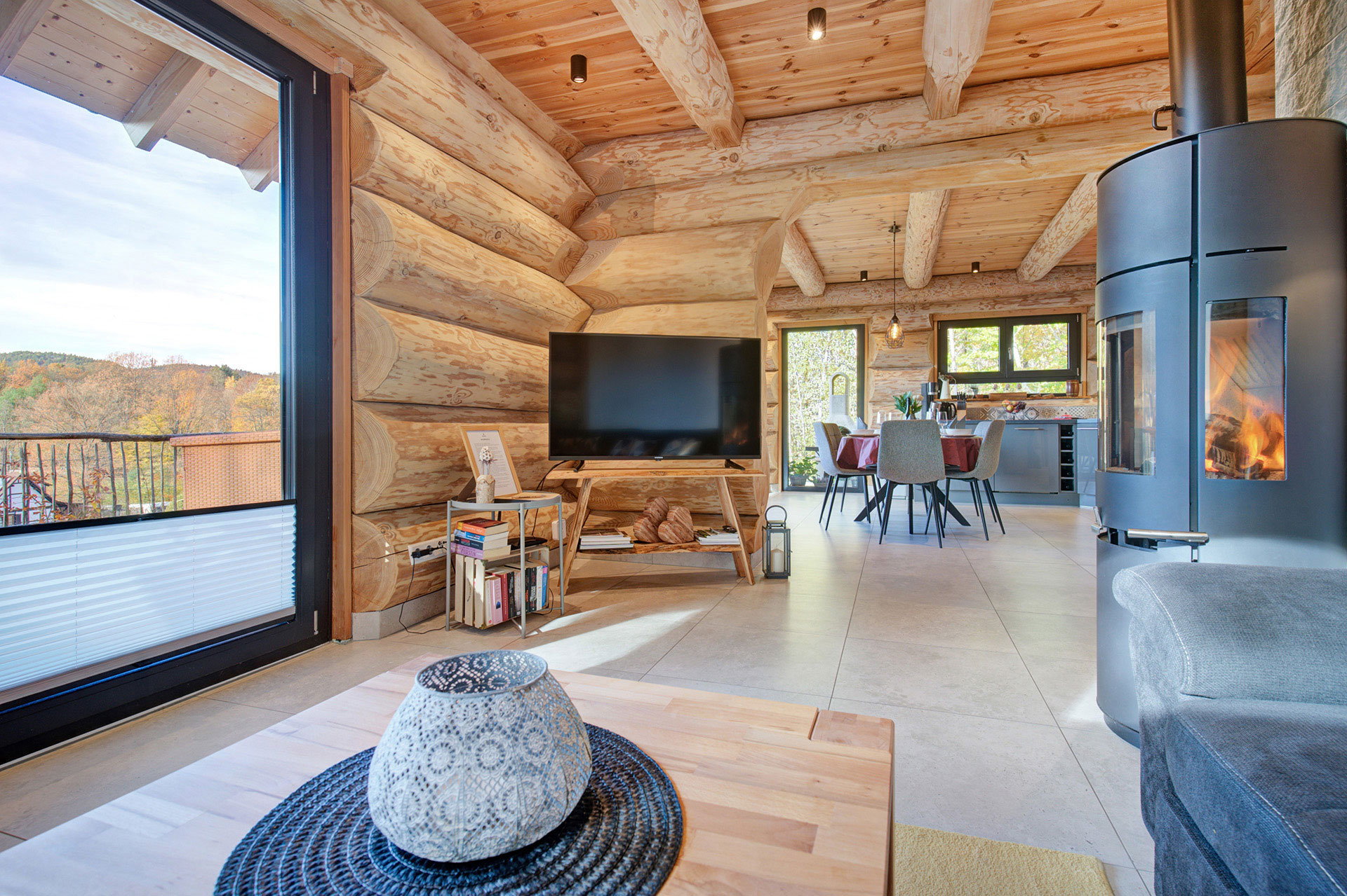 wohnzimmer mit blick auf TV im Ferienhaus Armin Darstein