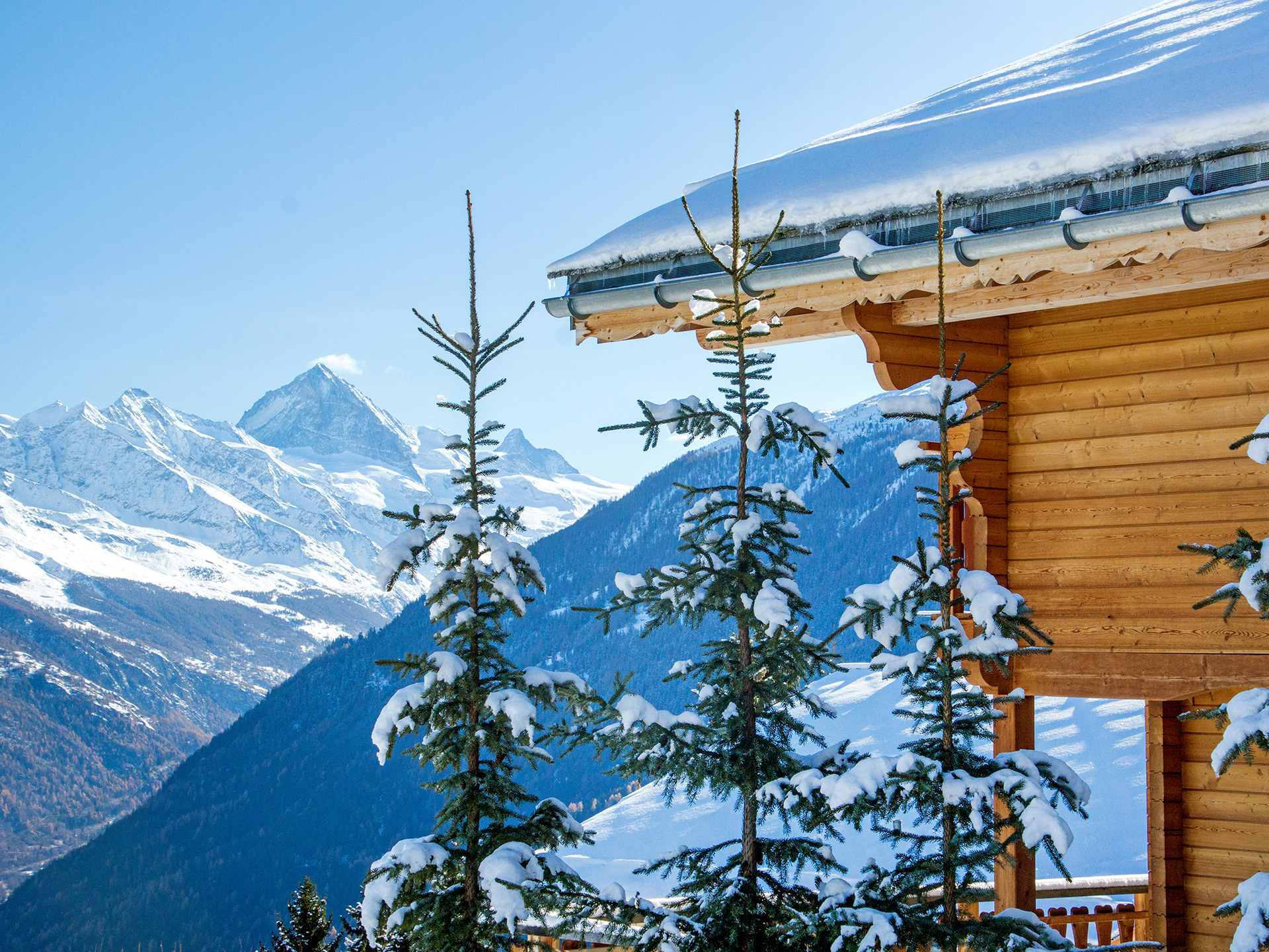 ferienhaus foto schneetannen mit holzchalet vor verschneitem bergpanorama