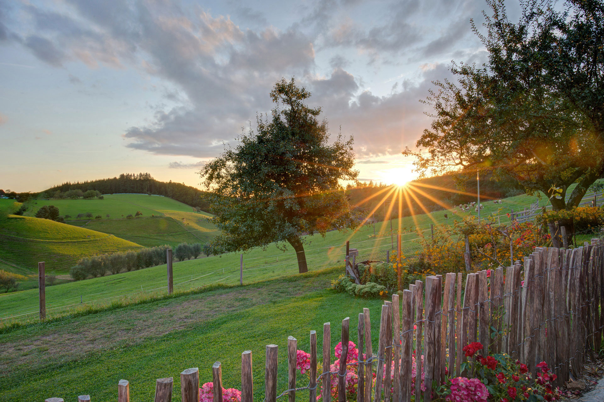 stimmungsvoller sonnenuntergang auf der Weide am ferienhof - vom fotograf für ferienwohnungen