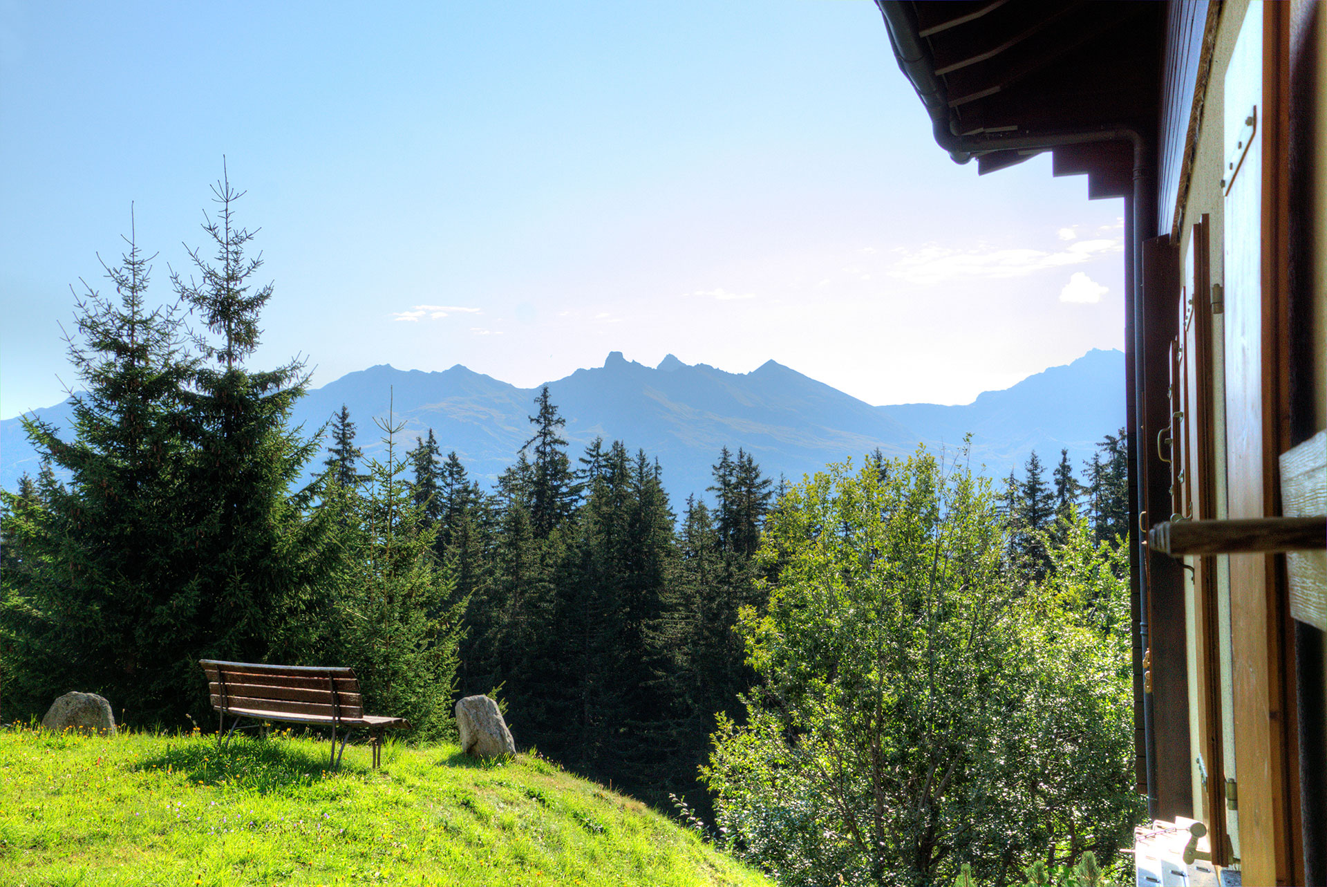 ferienhaus foto blick auf wald und berge