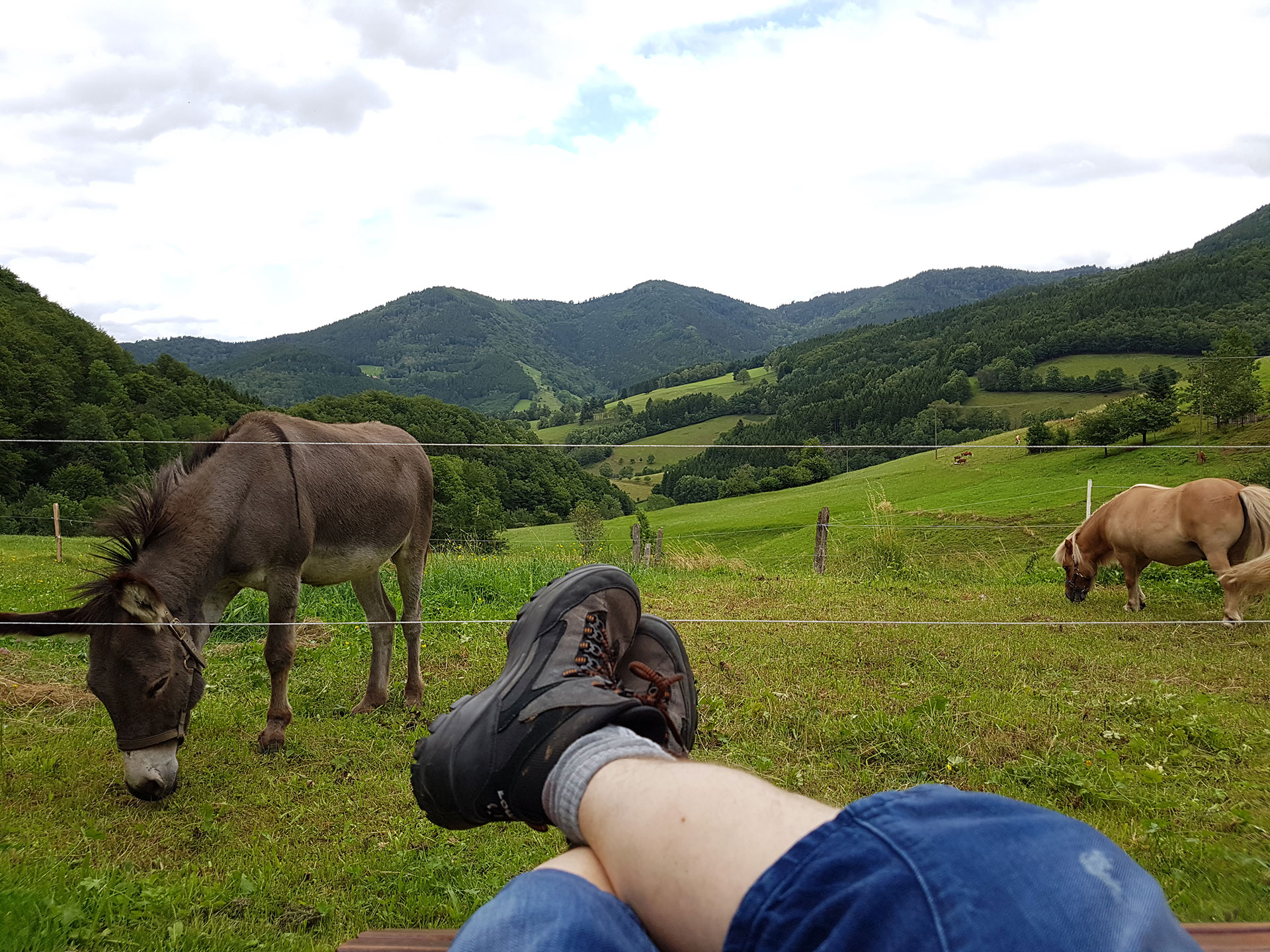 foto verbessern wanderschuhe mit zaun und esel und berge vorher