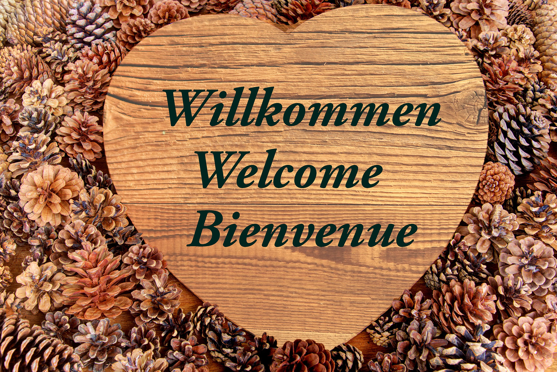 Willkommensschild aus Holz mit Willkommen Welcome und Bienvenue