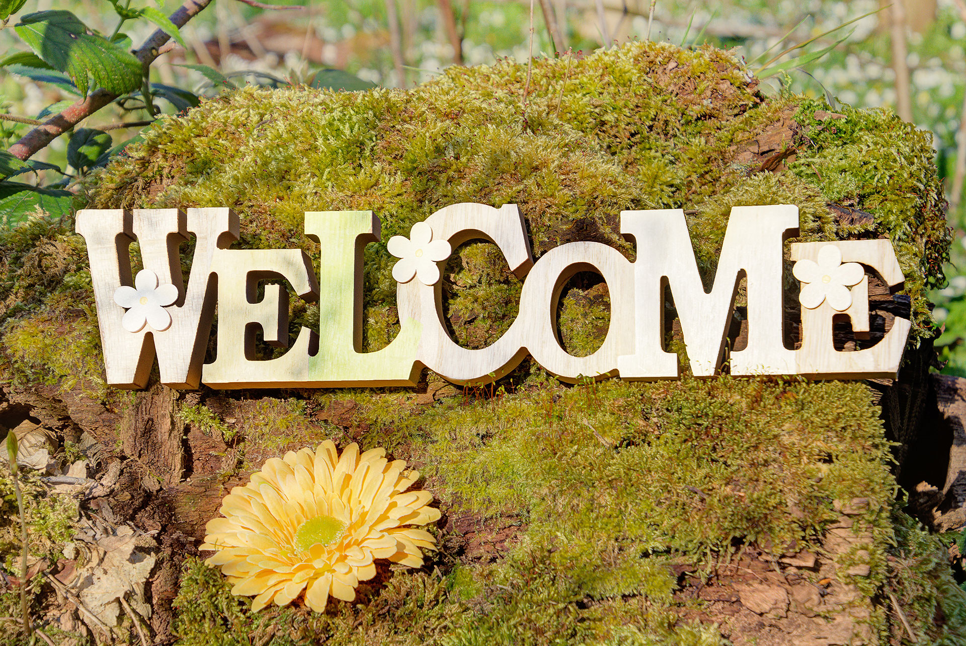 Willkommensschild mit Welcome auf Moos und Gerbara