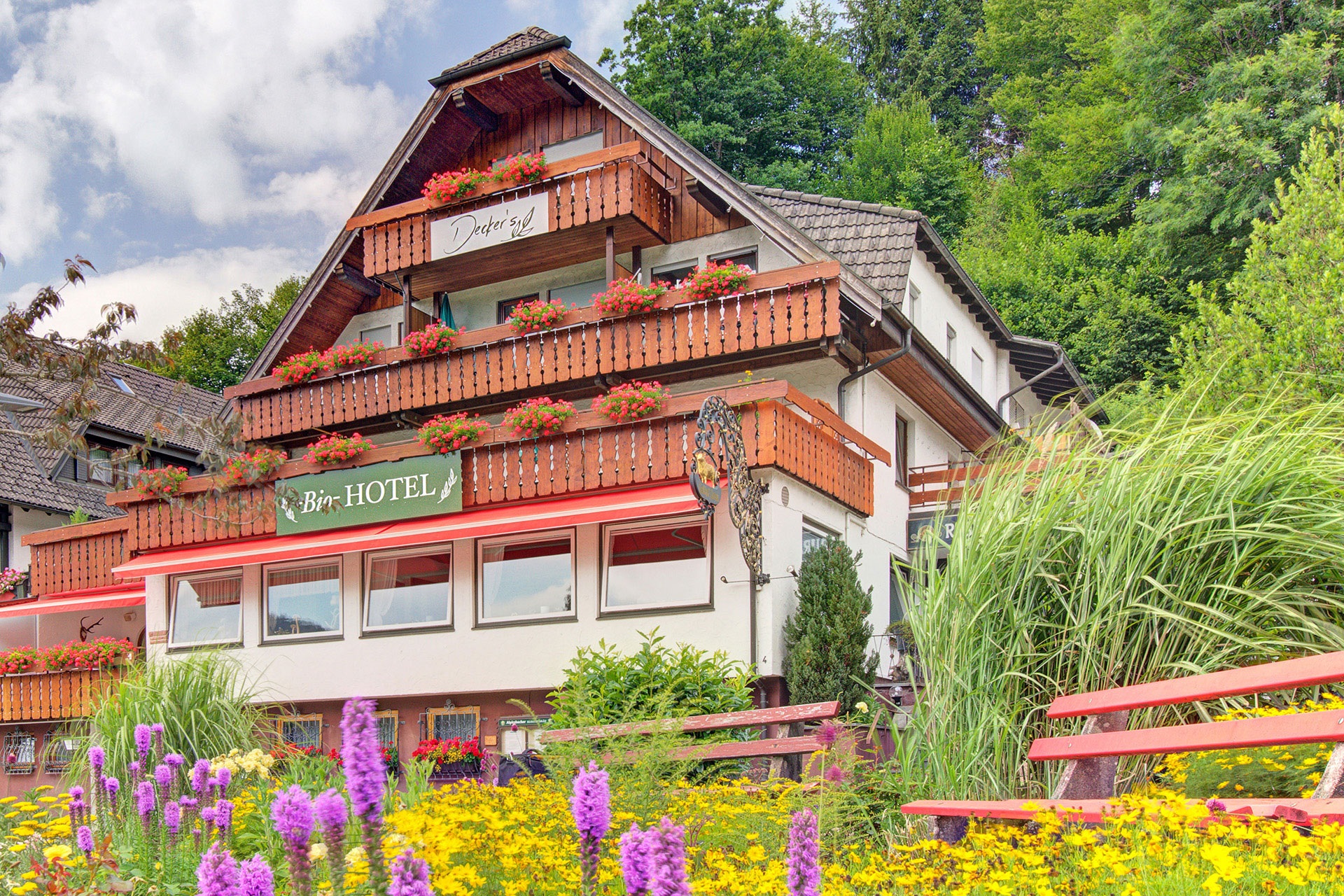 hotelfoto von aussen mit geranienblumenkaesten und gelblilanen blueten im vordergrund