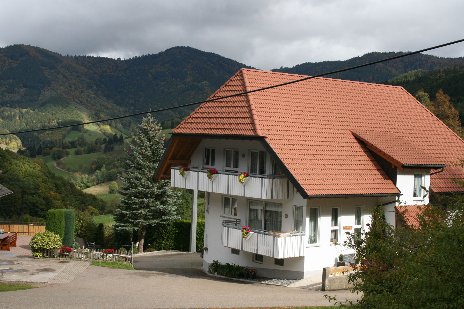 Traditionelles Schwarzwaldhaus bei grauem Himmel, dunkle Fassade, sichtbare Stromleitung