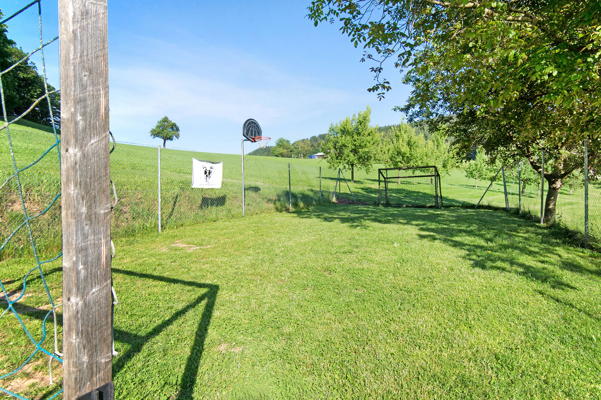 ferienhof foto saftig grüner fussballplatz mit blauem himmel