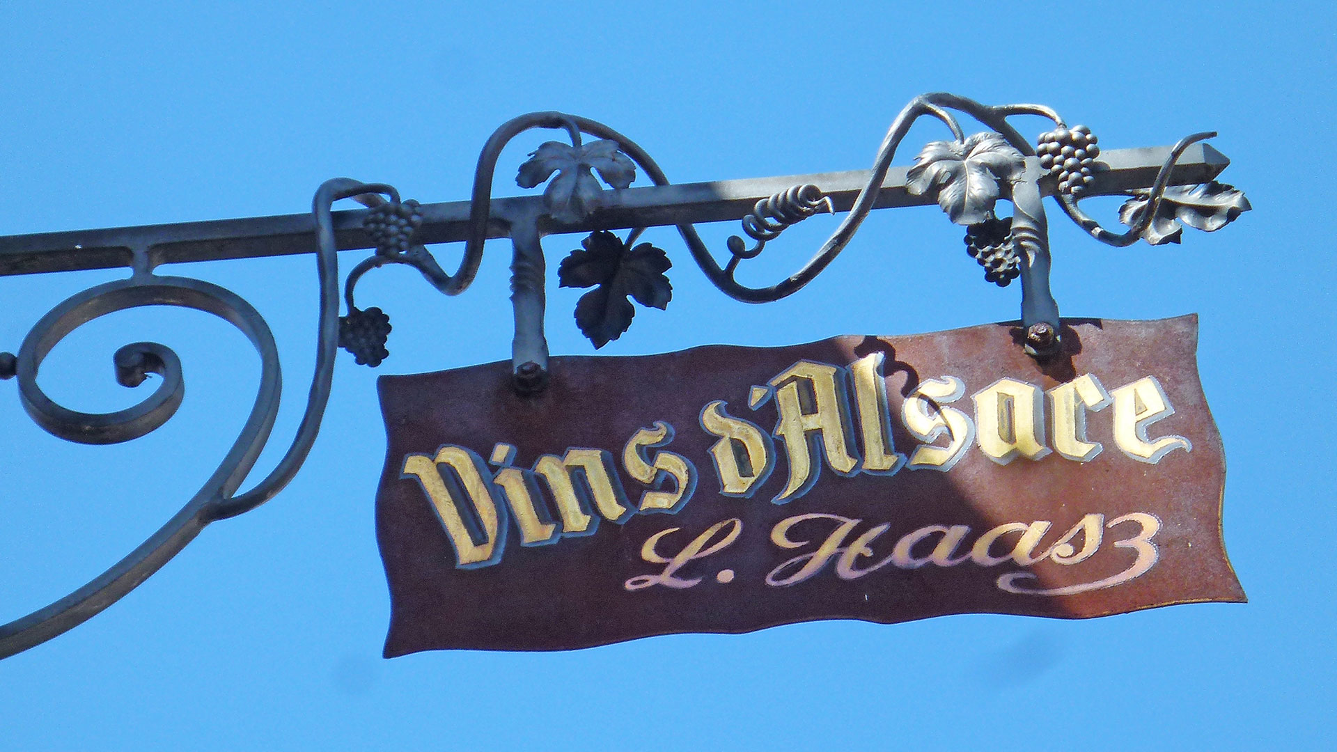 12 Schild Vins dAlsace