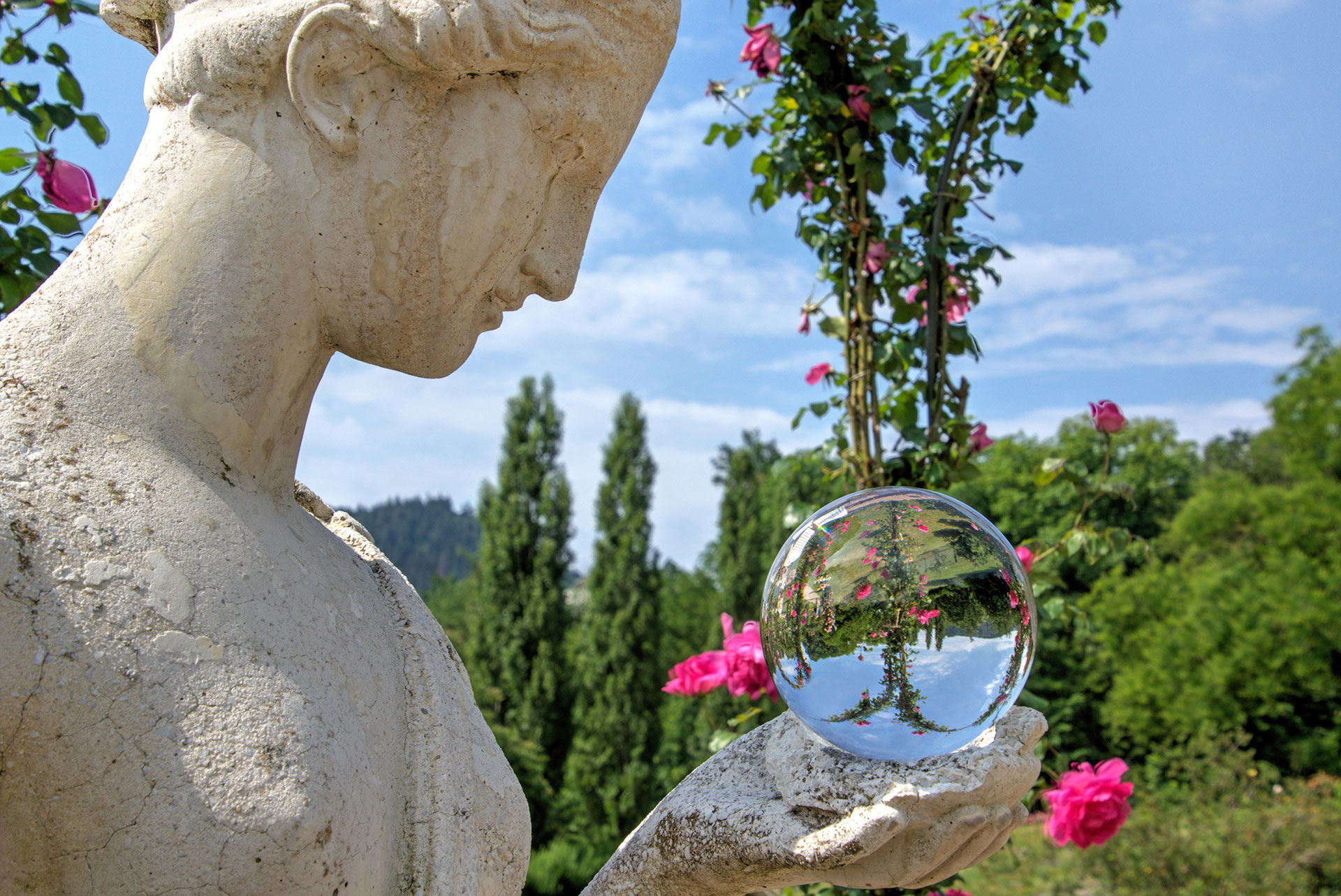 17 Rosengarten im Beutig Baden-Baden Montage