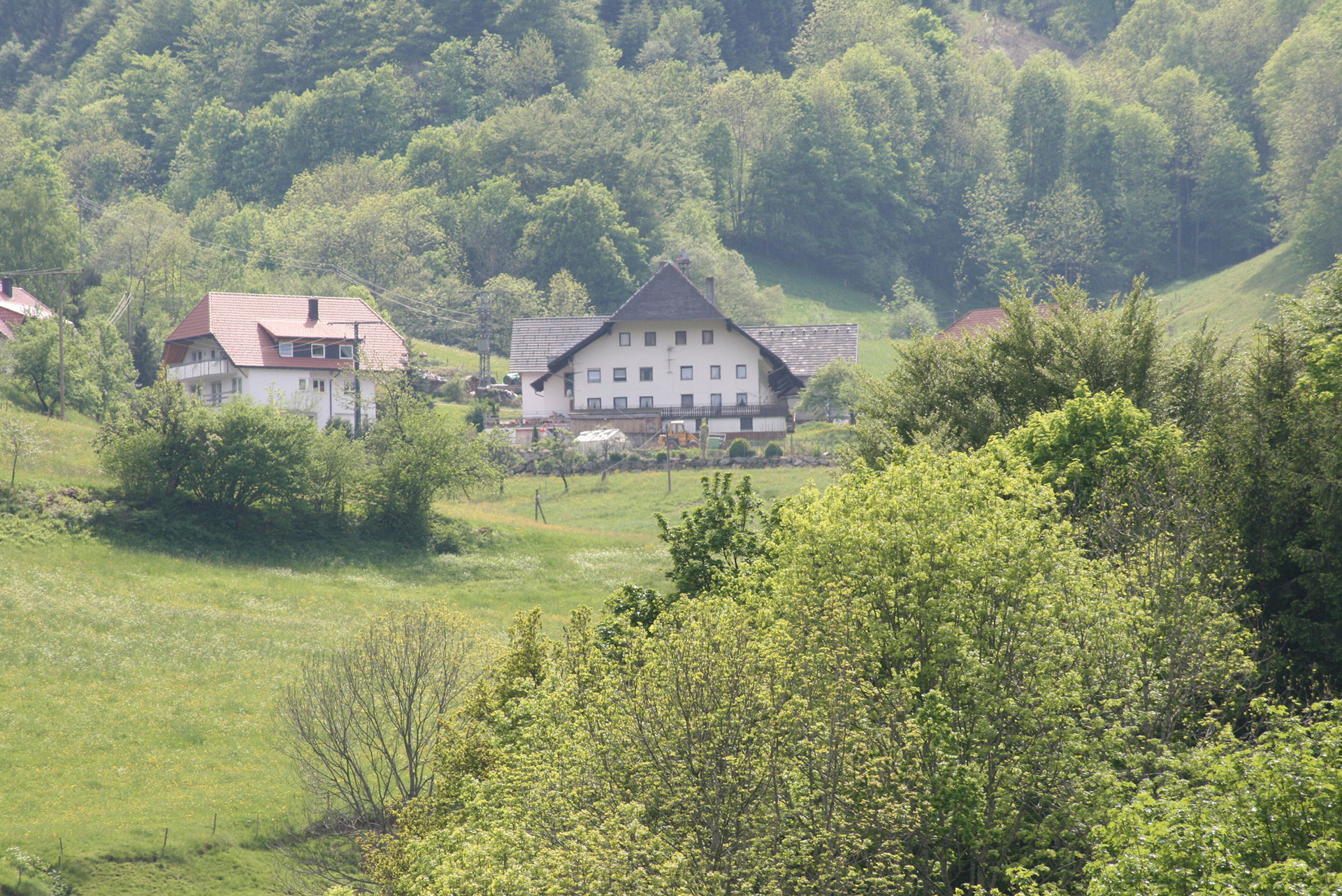 foto verbessern ferienhof vorher dunstig