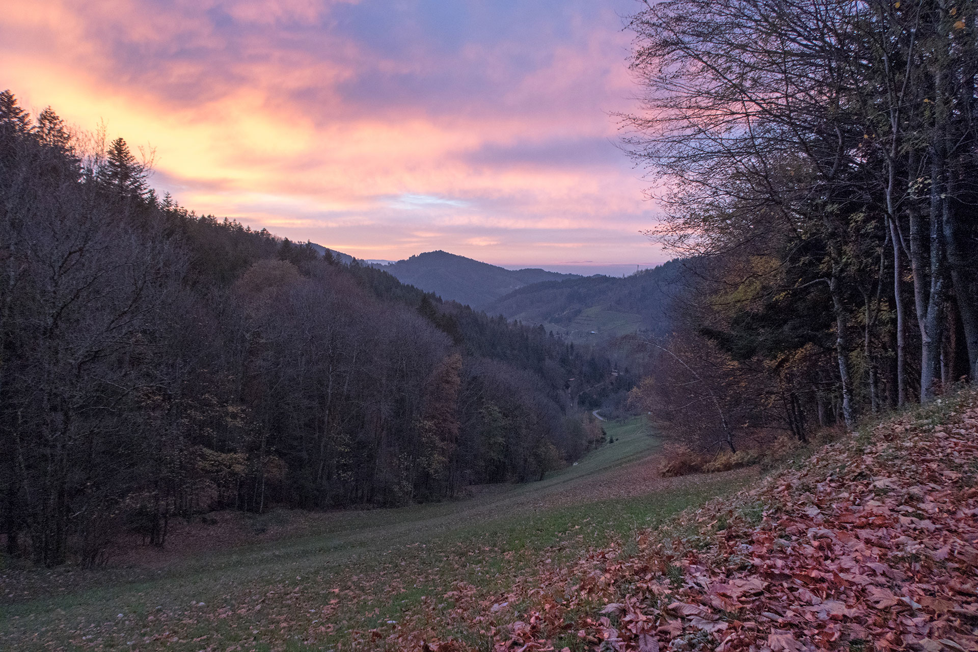 35 Abendstimmung Nähe Ottenhöfen