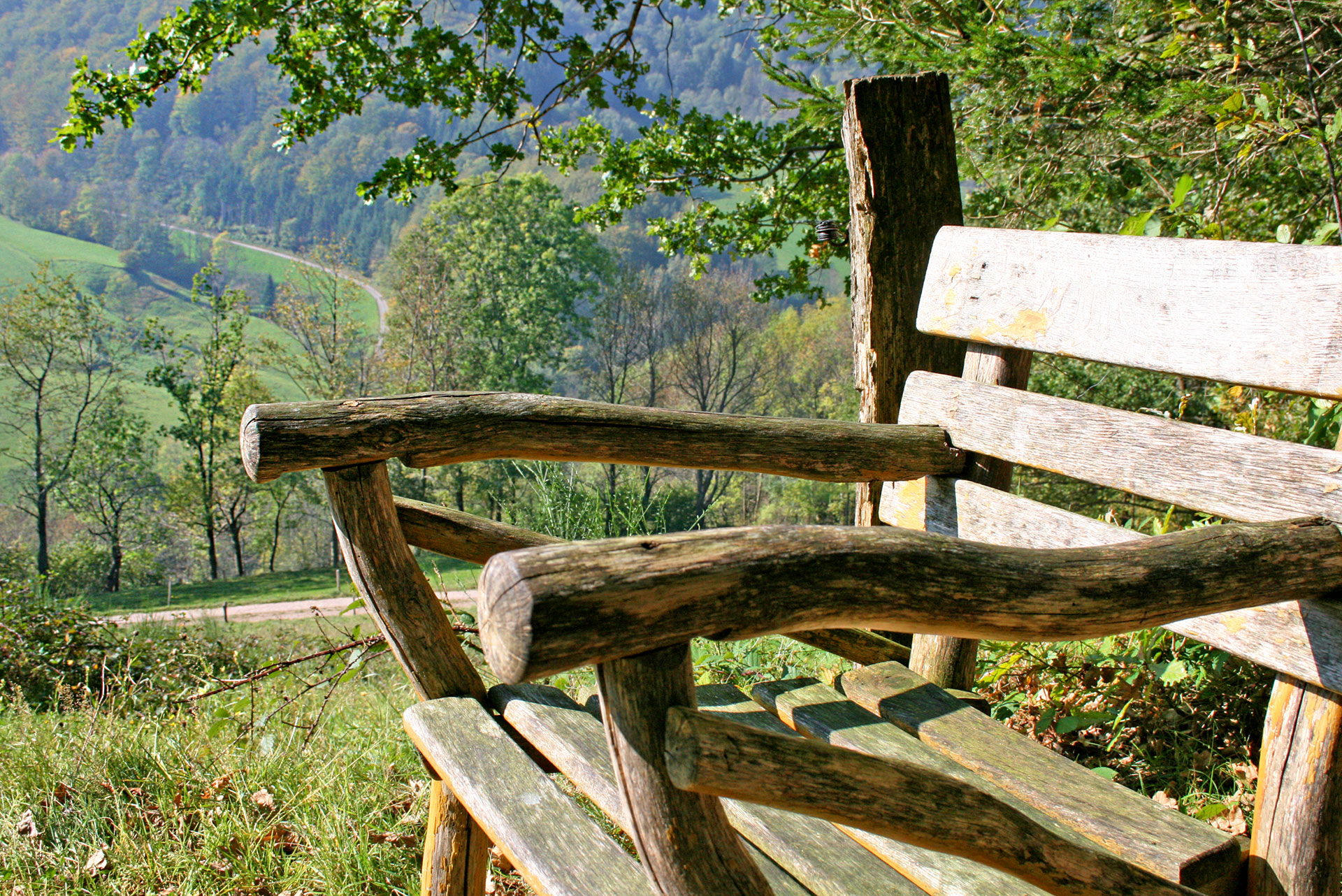 foto verbessern wanderbank freundlich nachher