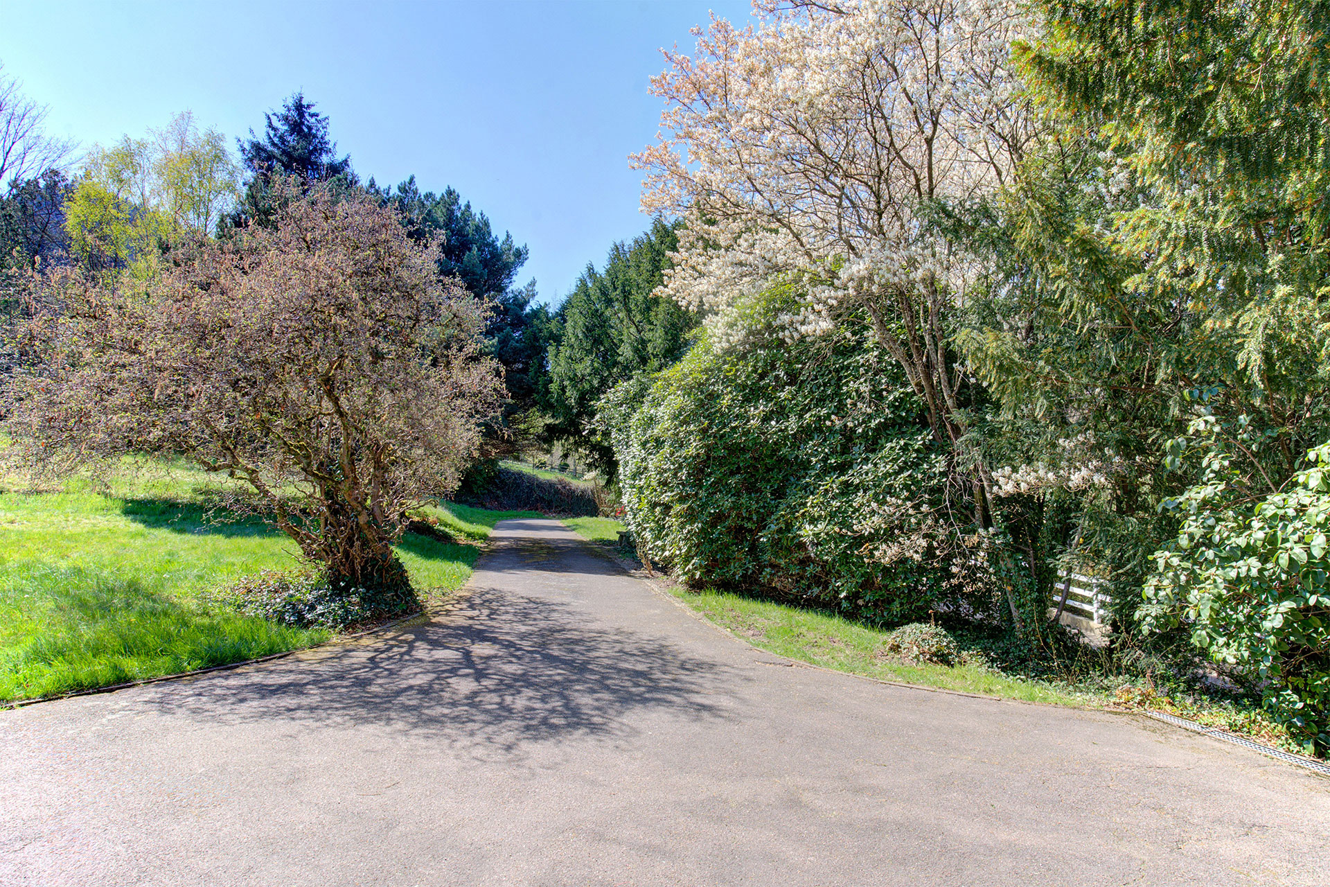 Vorplatz von Ferienhaus im Frühling