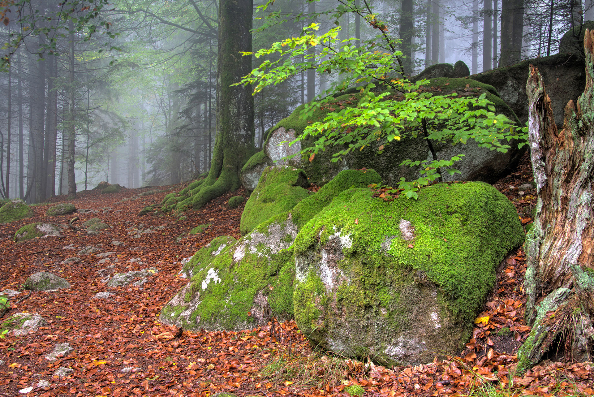 7 Gertelbacher Wasserfälle