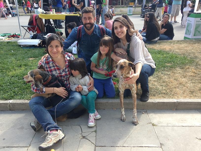 ¡¡ Qué maravilla !! ... KAREN y su nueva familia en Barcelona (España) gracias a la asociación "Batec de Galgo". 