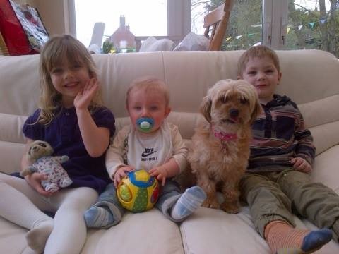 Niños + perro ... ¿y porqué no?. Nuestra pequeña BONIE (ahora DOLLY) es una más en la familia en Inglaterra.