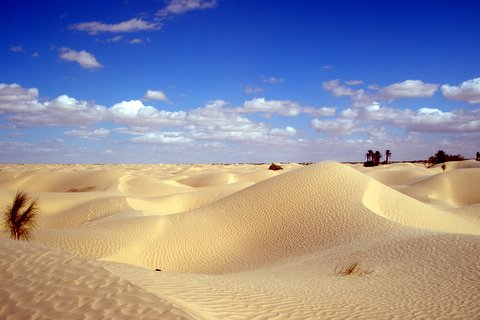 Désert vide ? ...ou plein de Vie... ?