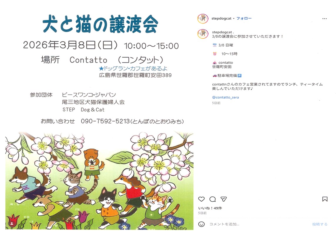 ３月８日　犬と猫の譲渡会（Dog＆Cat　参加します）