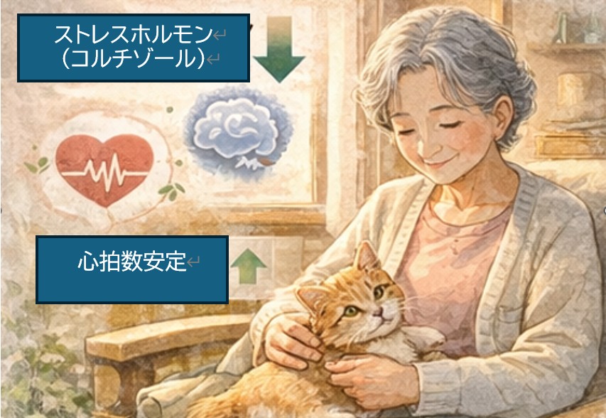 撫でることで、ストレスは下がる
