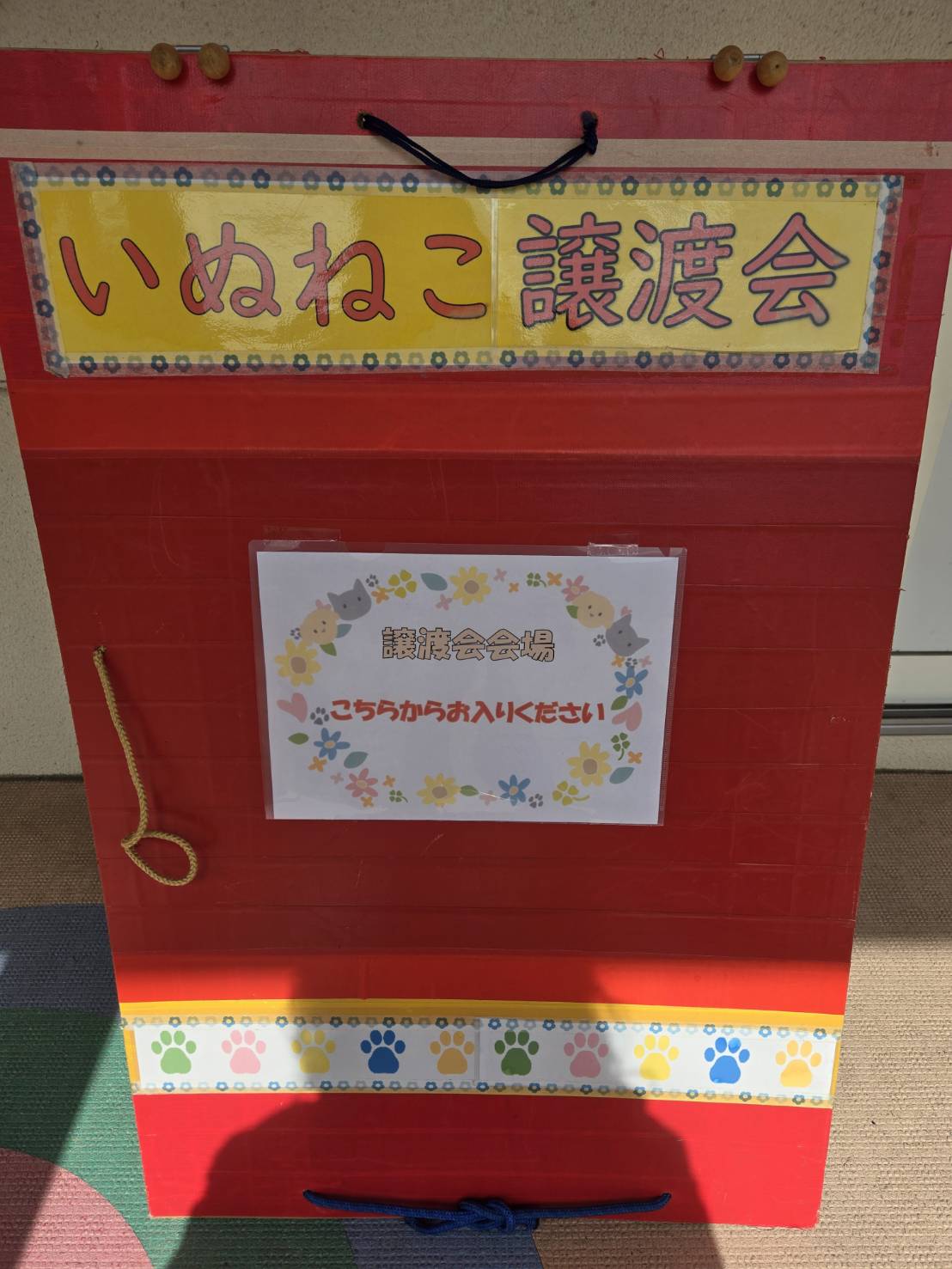世羅町安田のContatto（コンタット）で、犬と猫の譲渡会