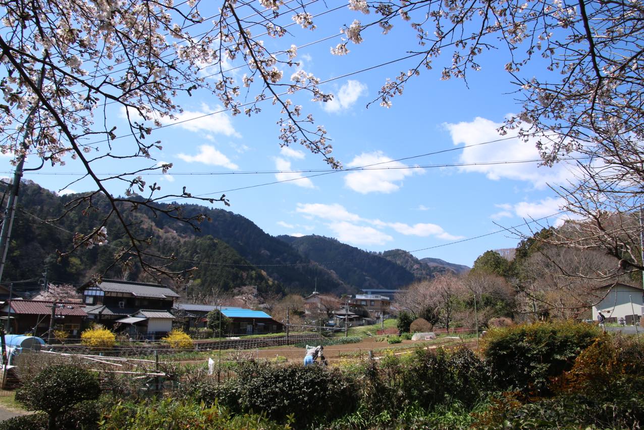 高尾山方面を臨む