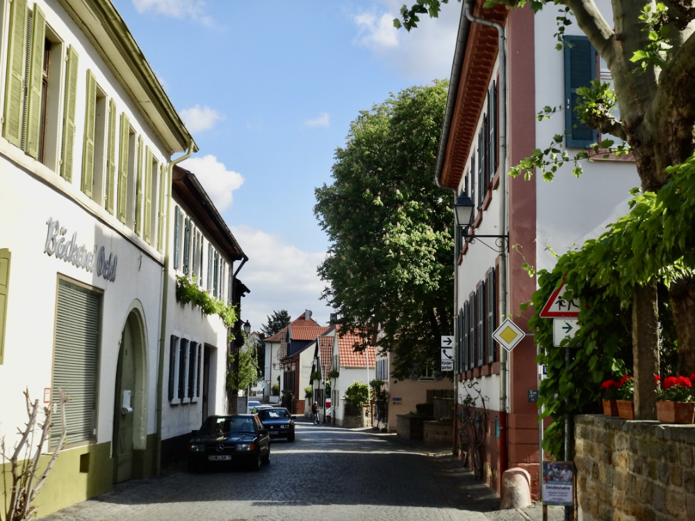 Forst an der Weinstraße Pfalz Weinfeste