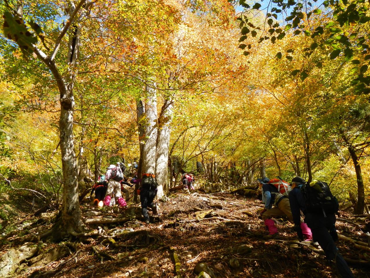 九州中央山地の魅力