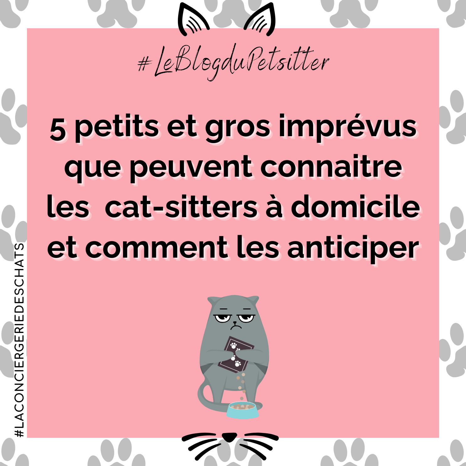5 imprévus que peuvent connaitre les  cat-sitters à domicile et comment les anticiper