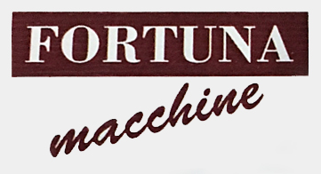 Benvenuti su fortunamacchineedili!