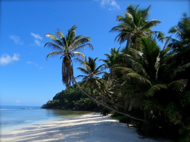 Anse Parnel