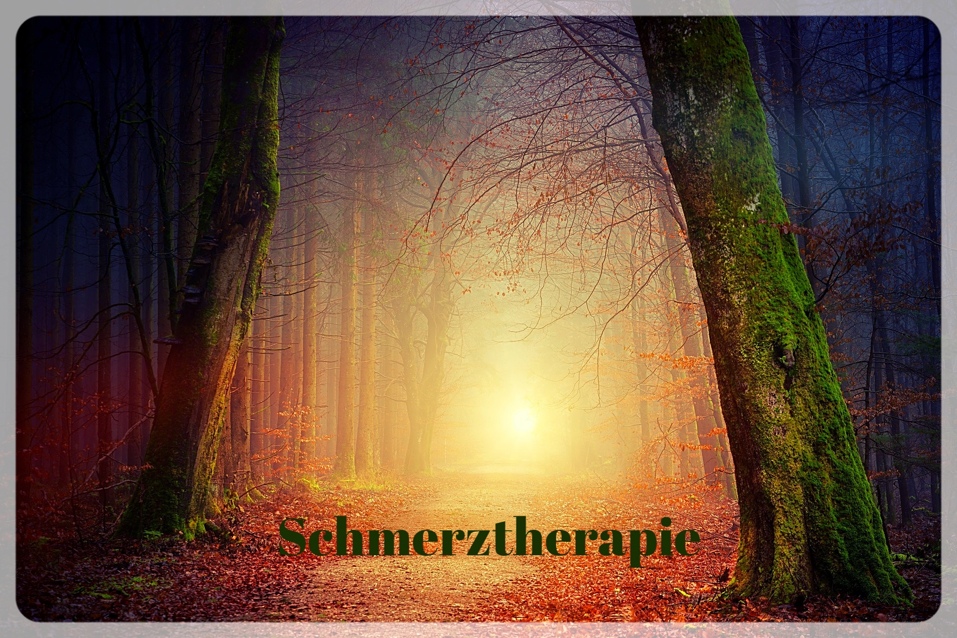 Schmerztherapie