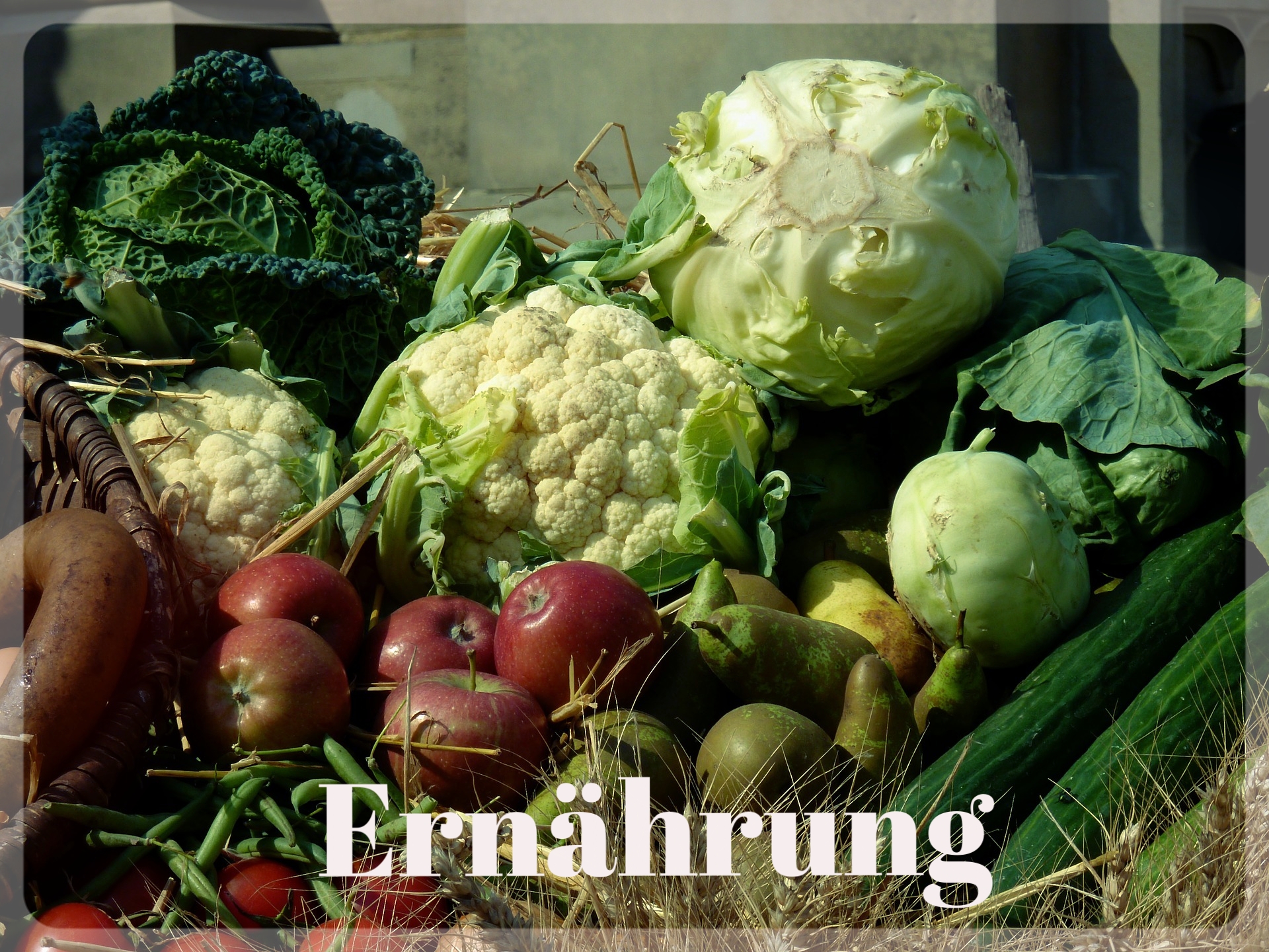 Ernährung und Darmgesundheit