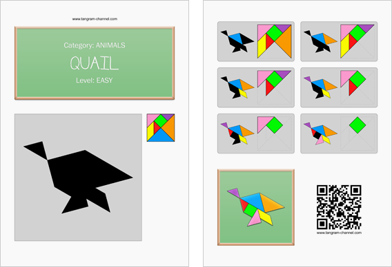 Tangram worksheet 147 : Quail - This worksheet is available for free download at http://www.tangram-channel.com