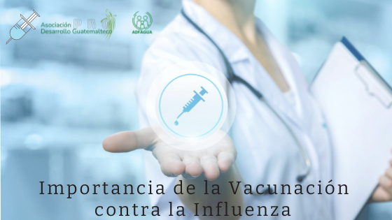 1. Elevar el sistema inmunológico 2. Disminuir los síntomas de dichas patologías como; renitis, fiebre alta, dolor de cuerpo y dolor de cabeza. 3. Comprometer el sistema respiratorio; exceso de fluidos, saturando vías respiratorias; bronquios y pulmones.