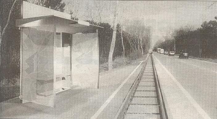 Ipotesi di Fermata Tram su Via Trieste (dal progetto "Pineta Express")