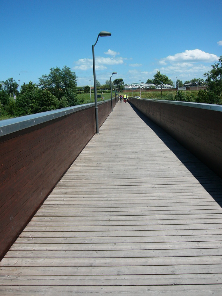 Ponte ciclopedonale sul Savio "dell'Ippodromo"