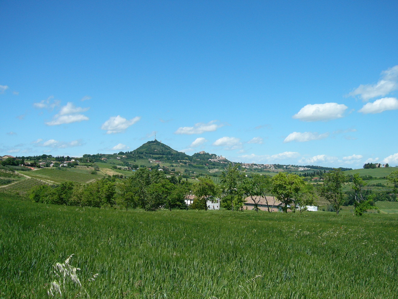 Bertinoro 