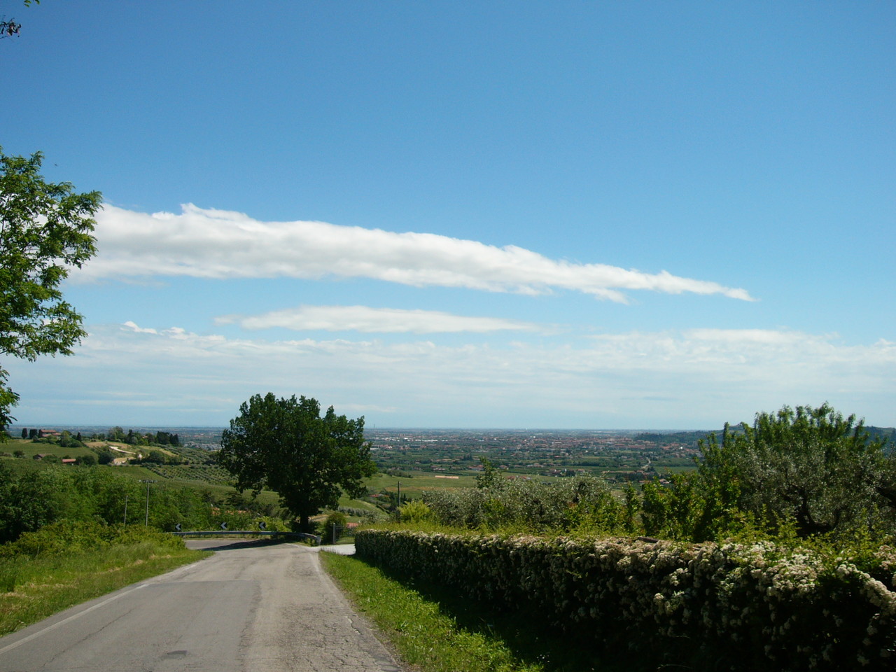 Le colline di Bertinoro verso Cesena