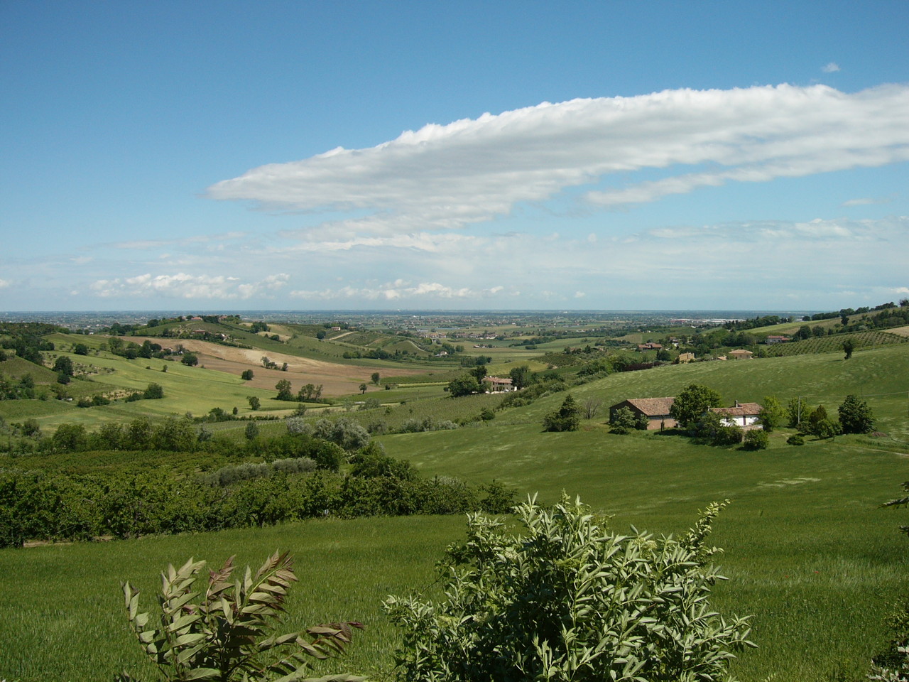 Le colline di Bertinoro verso Cesena