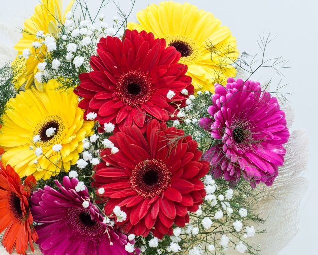 How To Get Rid Of Brown Spots On Gerbera Daisy Leaves gardenandlandscape