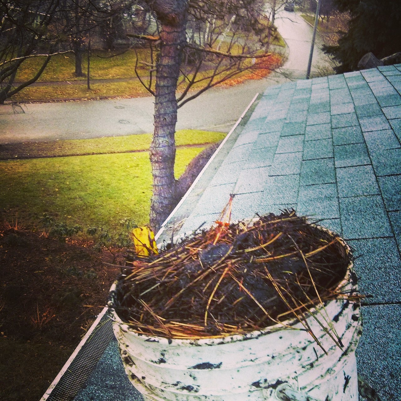 Eavestrough Cleaning