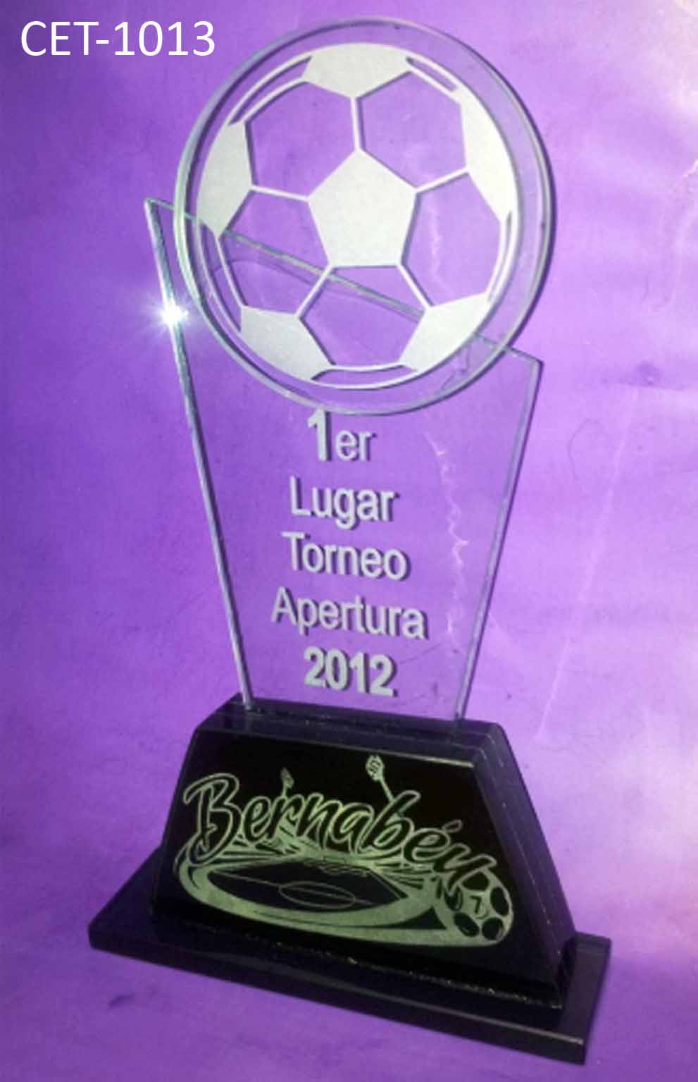 Reconocimiento CET 1013