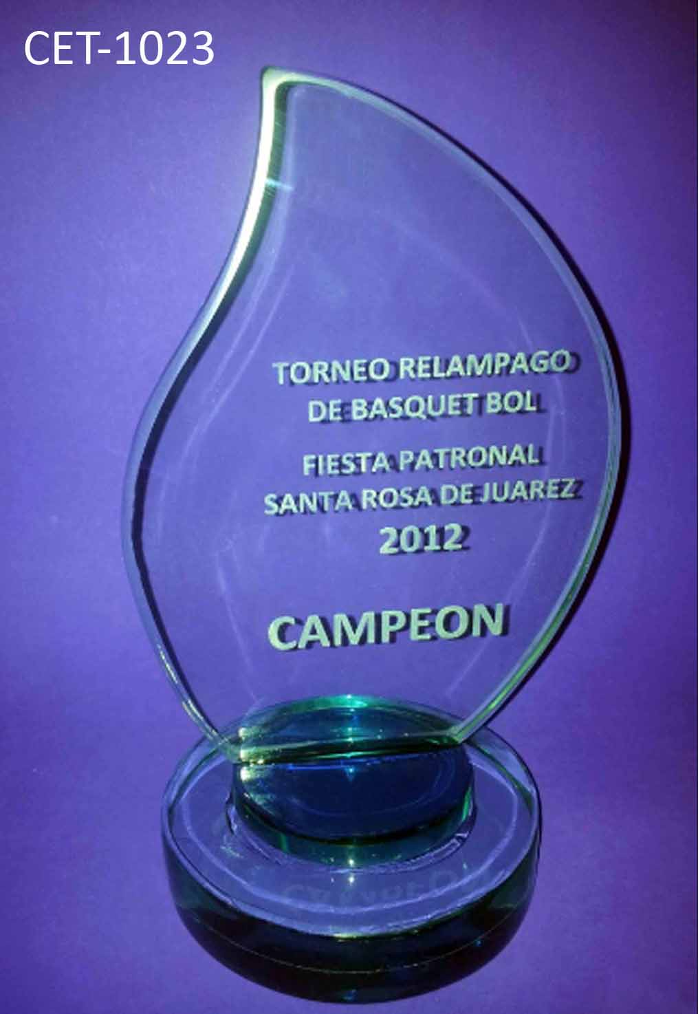 Reconocimiento CET 1023