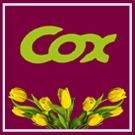 Gebrüder Cox GmbH, BLUMENGROSSHANDEL, Bestattungsmesse lexikon-bestattungen
