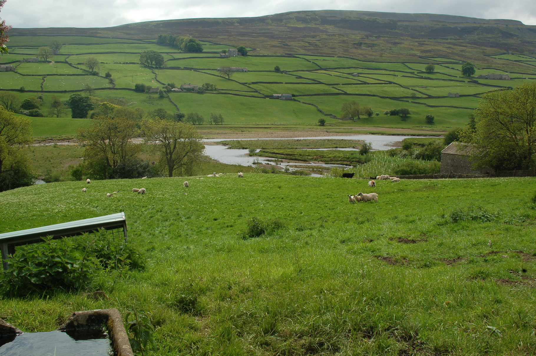 Swaledale at Reeth