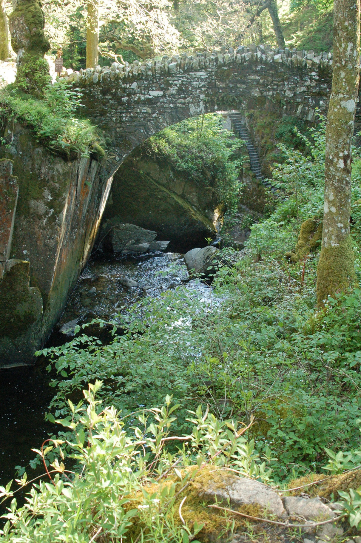 Aira Force