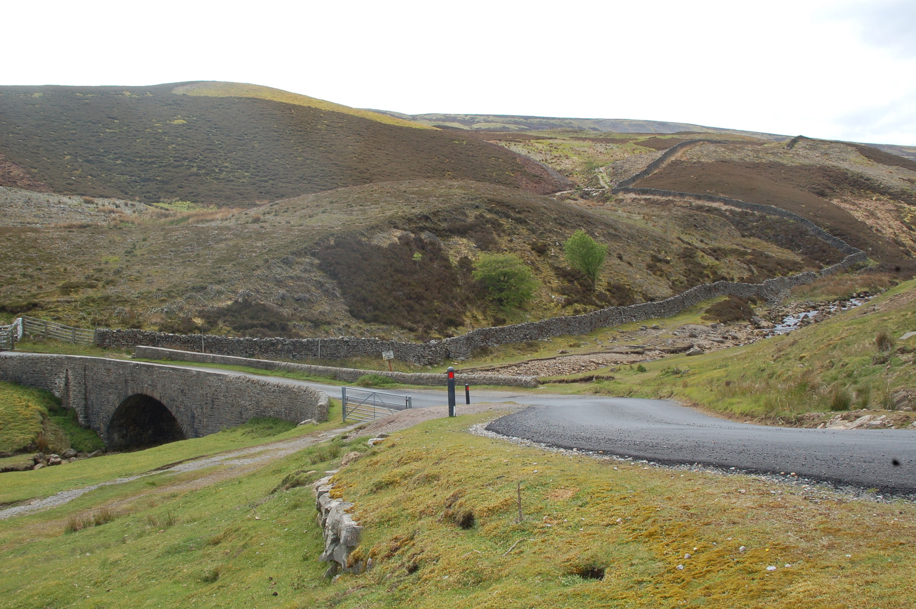 on the Melbeck Moors