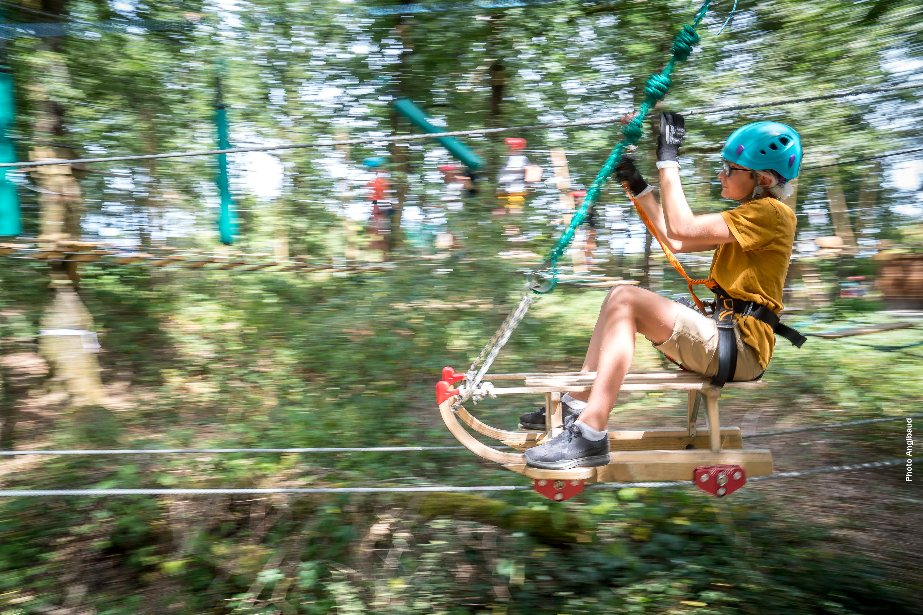 Saumur Forest Aventures