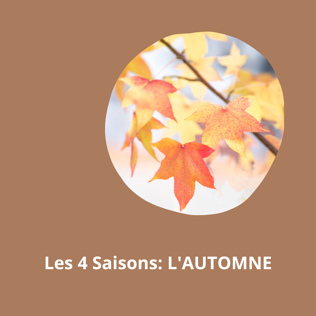 Les 4 saisons : L'AUTOMNE