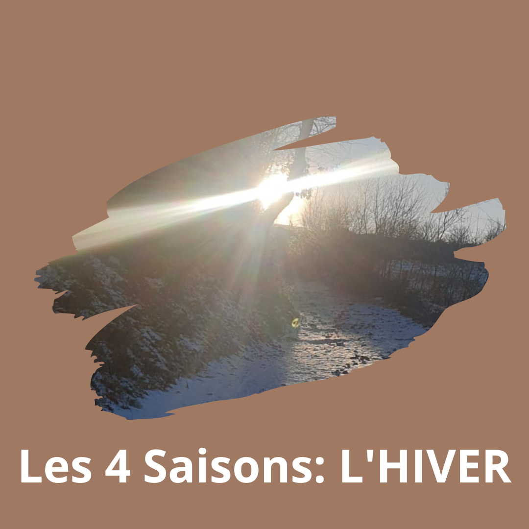 Les 4 Saisons : L’HIVER