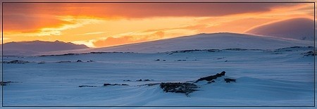 Looking over the vast lava fields of the Útbruni towards Eggert, Kollóttadyngja and Herðubreið (herdubreid, utbruni, odadahraun, ódáðahraun, frambruni, botni, bræðrafell, fjarholaborg, askja, dyngjufjöll, trölladyngja, winter, ski, pulk, tent, expedition)